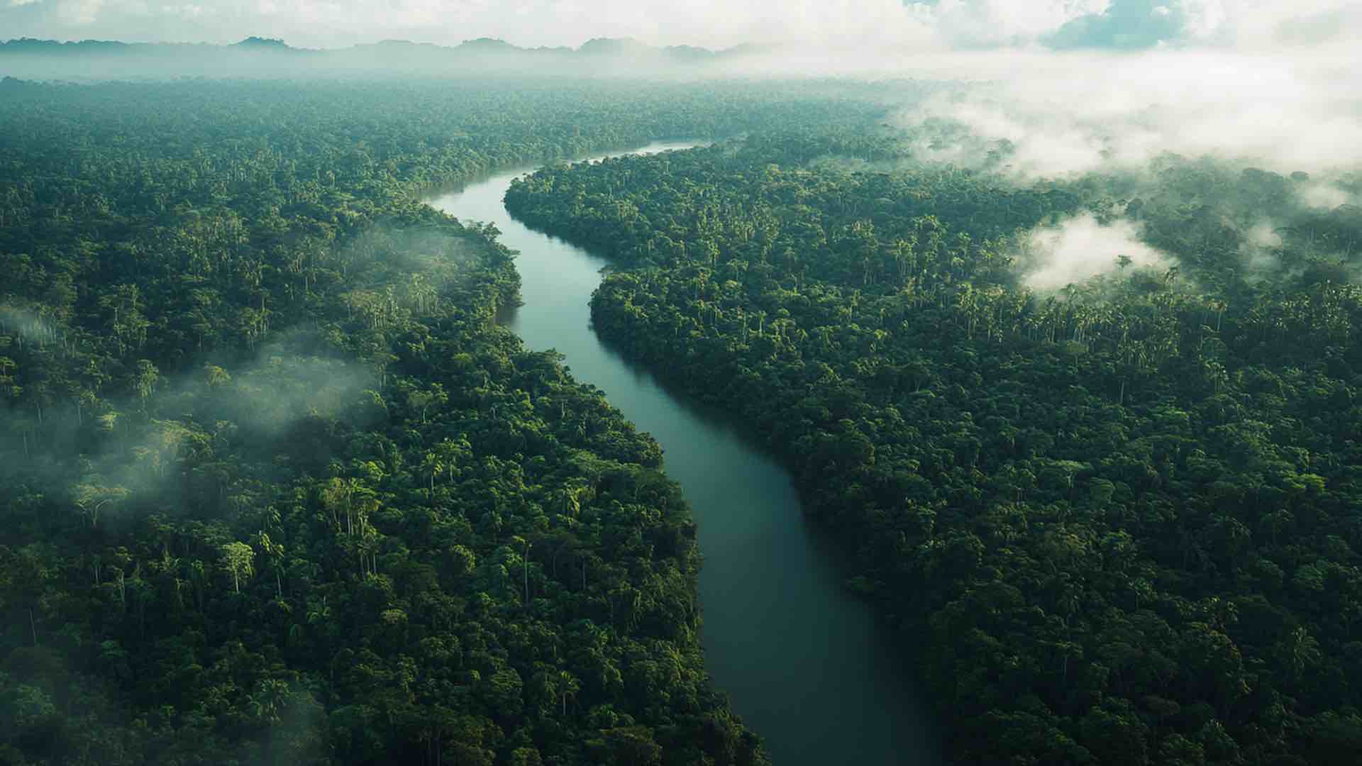 Amazon tributary hits historic low amid Brazil's ongoing severe drought ...